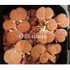 C338 - Seed